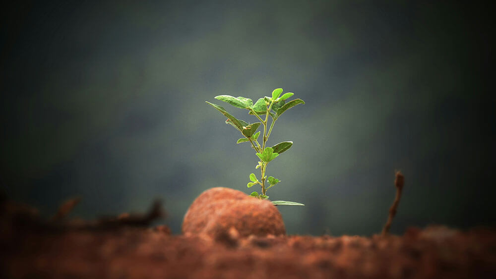 Abstract visual representing SEO and eCommerce improvements